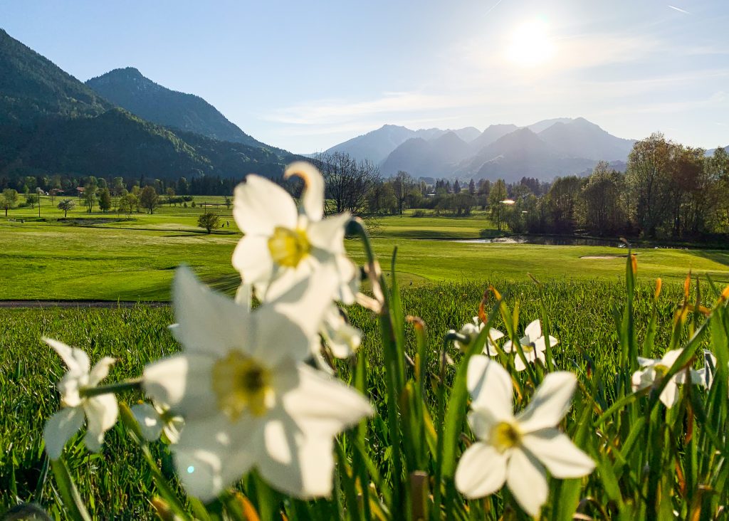 Natur und Golfgenuss in Ruhpolding im Chiemgau (c) Ruhpolding Tourismus